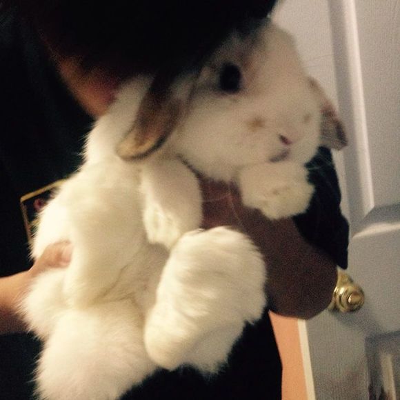 Meet your Posher, Jason - Picture 1 of 1